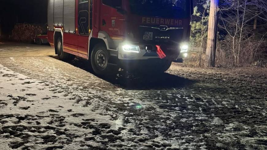 H1, Baum im Gleisprofil