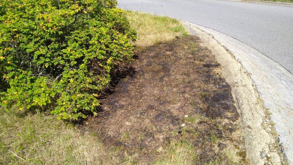 B1, Ödlandbrand im Kreiverkehr