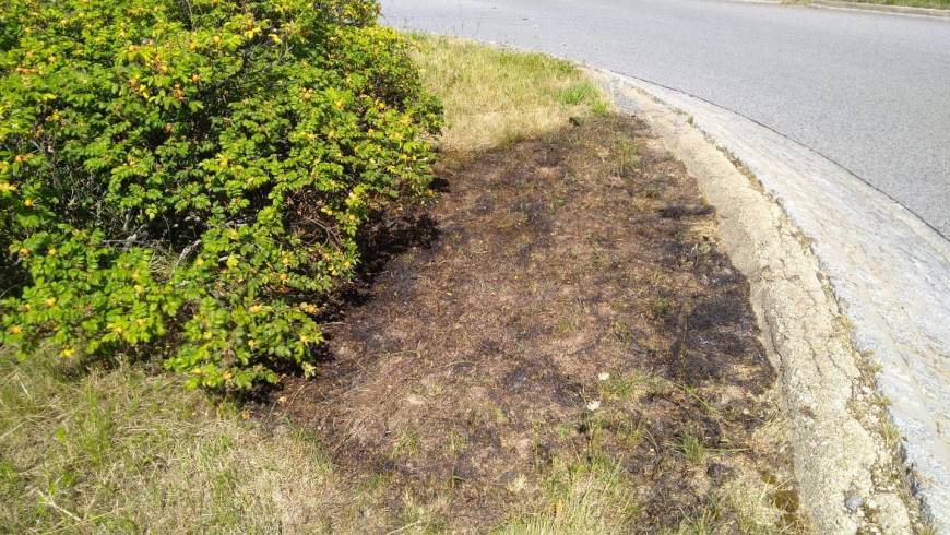 B1, Ödlandbrand im Kreiverkehr
