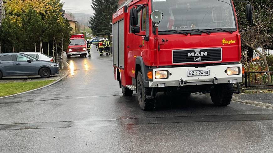 H1, Baum auf Straße, missglückte Baumfällung, droht auf Straße zu fallen, Stromleitung bet