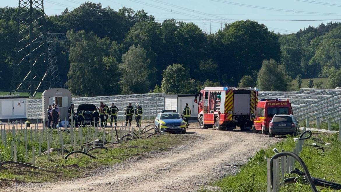 H1, Tierrettung, Waschbär hinter Kühlergrill eingeklemmt
