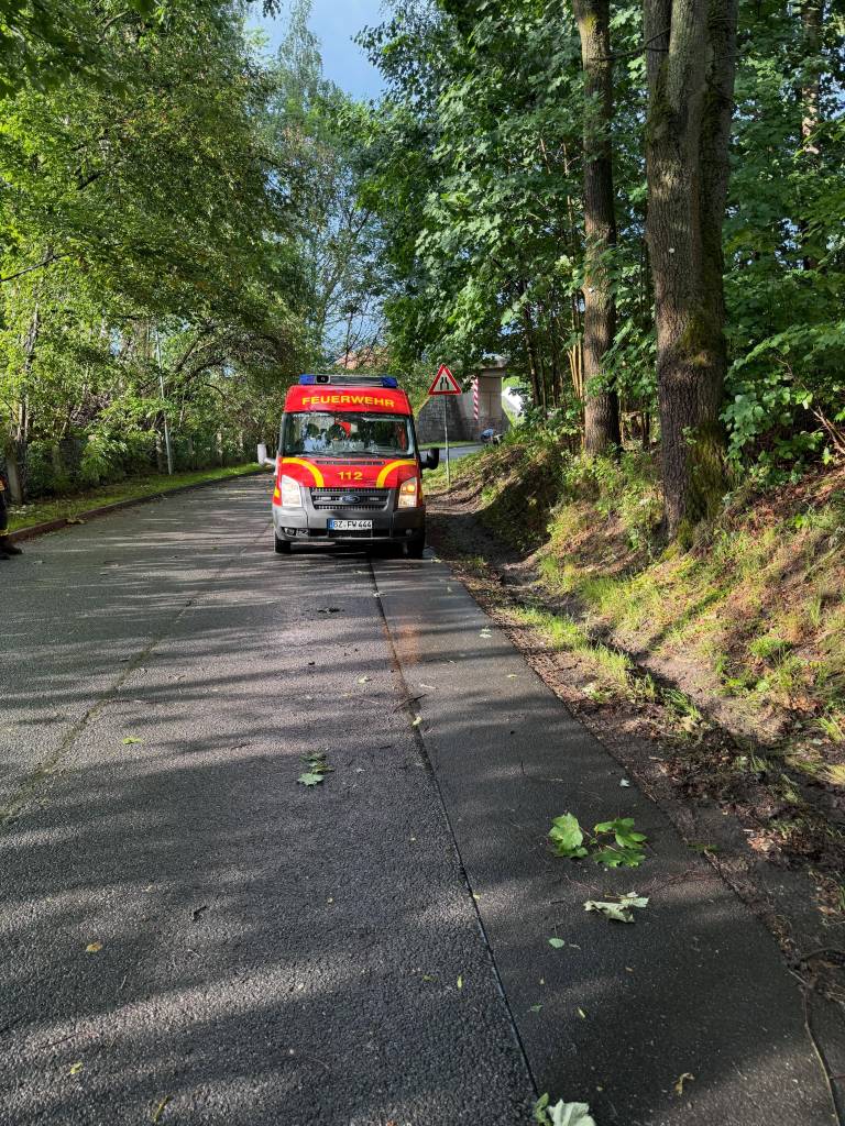 Feuerwehr Schmölln-Putzkau Einsatz H1 Baum auf Straße