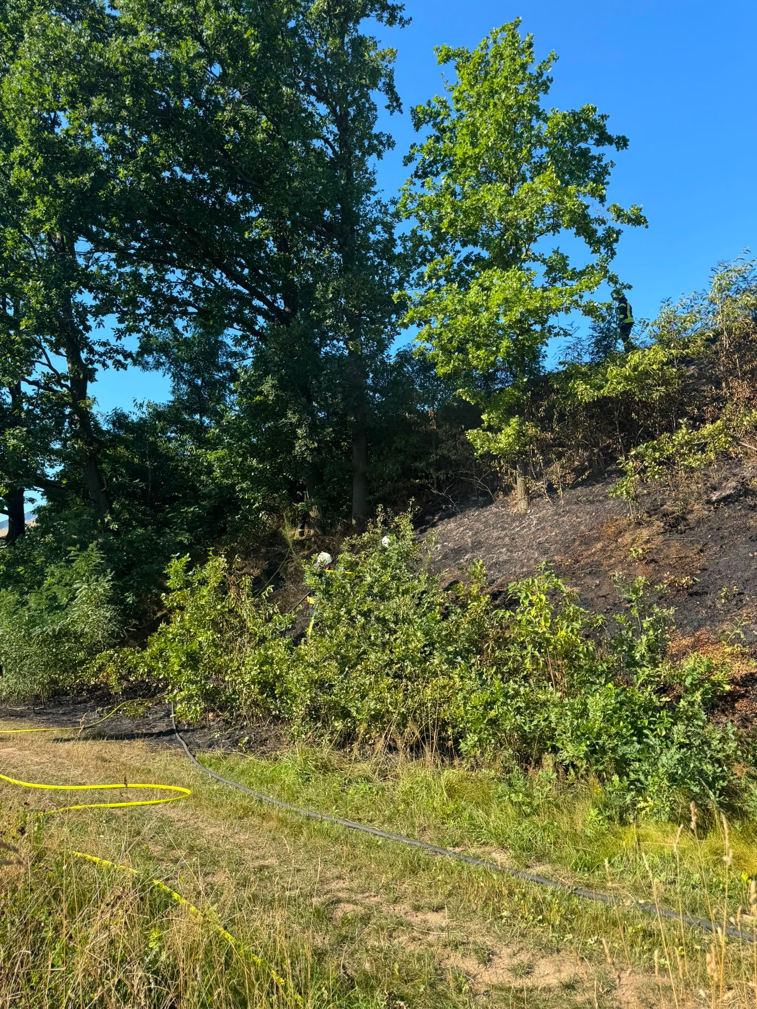 Einsatz der Feuerwehr Schmölln-Putzkau