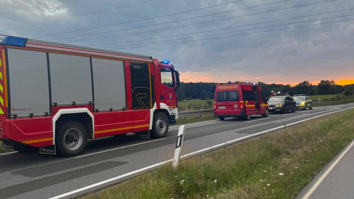 H1, Kalb an den Schienen