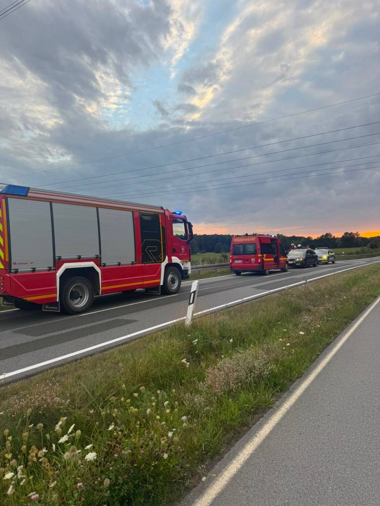 Feuerwehr Schmölln-Putzkau: H1, Kalb an den Schienen