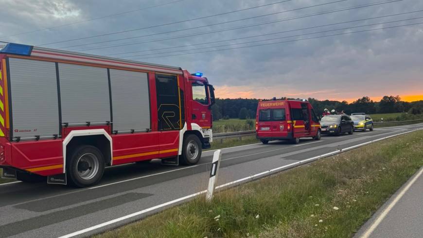 H1, Kalb an den Schienen